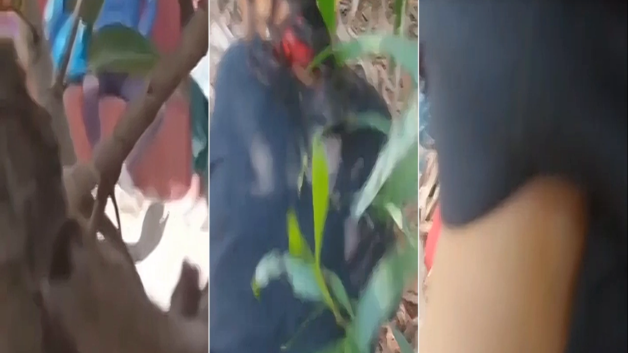 BF Ne GF Ko Jungle Leja Ke Banaya Ghodi Or Muh Me Lund Diya aur Choda